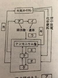 窒素循環の問題です アとイに適切な生物 郡 名を入れるのですが ア緑色植 Yahoo 知恵袋