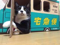 ヤマトの８ネコ端末について あらゆる面において７ネコより劣化 Yahoo 知恵袋