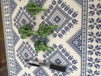 スティックセニョールを鉢 プランターで育てている人に聞きますが大きなのが Yahoo 知恵袋