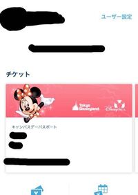 ディズニーのeチケットを買いました 私のスマホに表示されたチケットは Yahoo 知恵袋