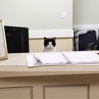 友達のラインのトプ画がこれだったのですが ペア画ですよね もう片方の画像あ Yahoo 知恵袋