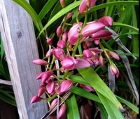 自宅から友人宅まで1080ｍある はじめの60ｍ 分で12分歩きその後90 Yahoo 知恵袋