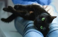 犬が飼い主のスリッパを枕にして寝る理由ってなんですか Yahoo 知恵袋