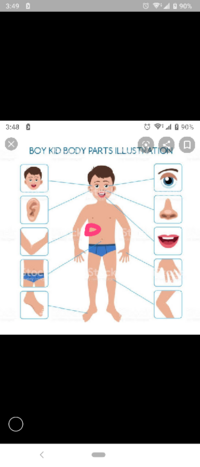 10歳の男の子です いまさっき右の胸の下あたりが痛いと泣い Yahoo 知恵袋