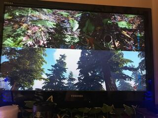 Arkの二人プレイ時に 2p画面に映っている木 の影のようなも Yahoo 知恵袋