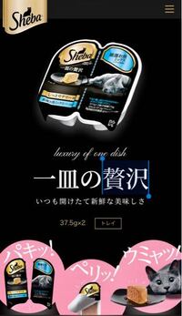 猫がウェットフードしか食べない 最初はカリカリも食べていたので Yahoo 知恵袋