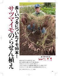 さつまいも栽培で らせん植え 螺旋植え という植え方が ありますが Yahoo 知恵袋