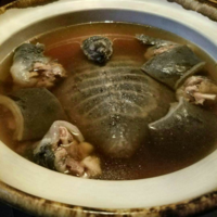 すっぽん ってどんな味がするんですか 食べたことないので教え Yahoo 知恵袋