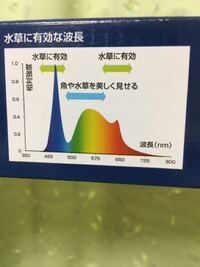 水草についてです 60 水槽で エーハイムledライト ７ｗ のライトを使用し Yahoo 知恵袋