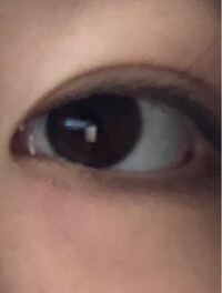 ポケモンの進化キャンセルについて質問です ポケモン初心者です Yahoo 知恵袋