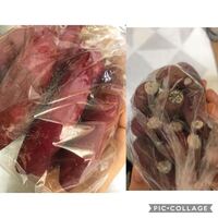 さつまいもに白いカビが 食べられますか 安納芋を7個ほ Yahoo 知恵袋