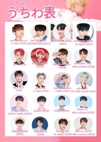 SEVENTEEN ウォヌ うちわ chungminhtaichinh247.com.vn