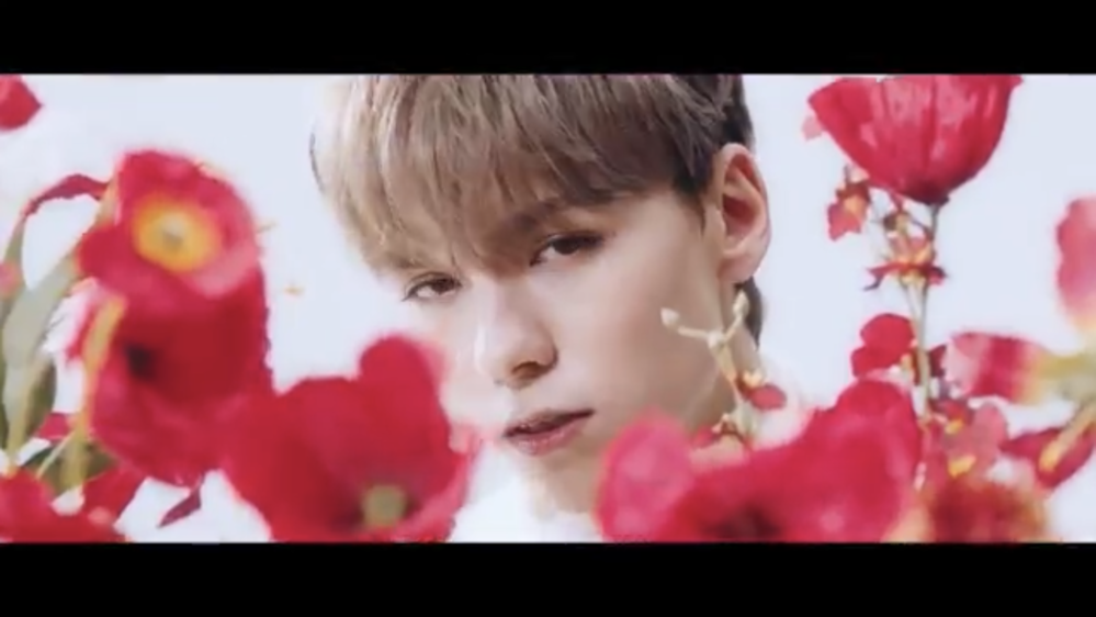 Seventeen セブチ の舞い落ちる花びら Fallin Flowe Yahoo 知恵袋