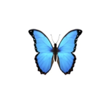 この蝶の絵文字はなんと検索したら出てきますか 機種はiphon Yahoo 知恵袋
