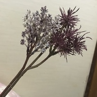 ダイソーでドライフラワー造花 を買ったのですがなんて言う花か分かりますか Yahoo 知恵袋