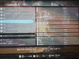 太刀 仁王 ビルド 大 2