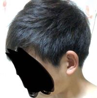 男子高校生です 今日 美容室でカットをして いただいたのですが他の方 Yahoo 知恵袋
