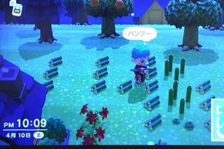 あつまれどうぶつの森についてです あつ森を始めたら家の近くに植 Yahoo 知恵袋