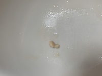 たまに味噌汁の中に入っているこれが臭い玉に見えて食べる気が失せます これ Yahoo 知恵袋