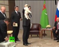 プーチンさんの前で犬をつまんで持ち上げた方がいましたが 何故あのような持 Yahoo 知恵袋