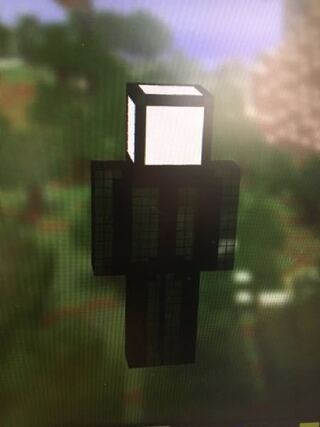 Minecraft Javaeditionの質問です ス Yahoo 知恵袋