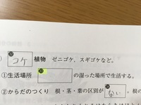 受験生です 中一理科植物について 3 4 教えてくださいま Yahoo 知恵袋