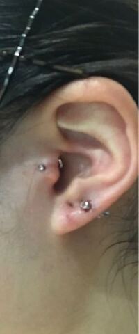 センラさんってどこにピアスあけてますか あ 自分 主 目 Yahoo 知恵袋