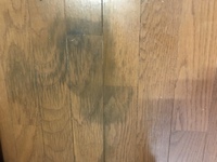 床の黒ずみについて届いた野菜類を段ボールのまま置いていたら最近の暑さで腐 Yahoo 知恵袋