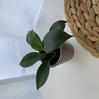 スリーコインズ２３区内で広い店舗教えてください スリーコインズのルミネ新宿 Yahoo 知恵袋