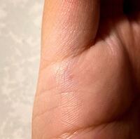 ワンピース で独特な笑い方をするキャラを教えて下さい グララララ 白 Yahoo 知恵袋