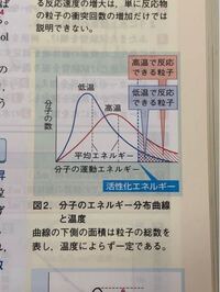 化学の分子のエネルギー分布曲線と温度についての質問です Yahoo 知恵袋