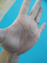 どなたか詳しい方お願いしますm Mこれは二重頭脳線 三重 でしょう Yahoo 知恵袋