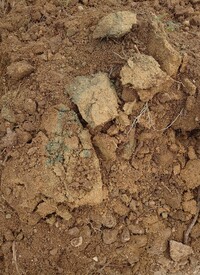 庭の土の石ころ除去について教えてください 粘土質の土なので Yahoo 知恵袋