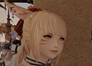 Ff14のキャラメイクの質問です リムサで見かけたサンシちゃん Yahoo 知恵袋