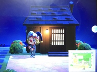 島荒らし あつまれどうぶつの森