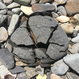 この石は何という種類ですか 浜辺で見つけました 手に持つとポロポロ Yahoo 知恵袋