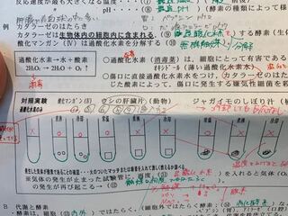 水 水素 マンガン 酸化 過 酸化