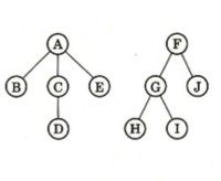木構造に関する質問です 一般に根付きの順序木を一意に復元できる2分木に変 Yahoo 知恵袋