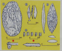 にはそれぞれ石斧 ナイフ形石器 尖頭器 細石器が入ります 当てはま Yahoo 知恵袋