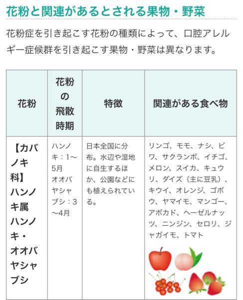 花粉症 アレルギー 解決済みの質問 Yahoo 知恵袋
