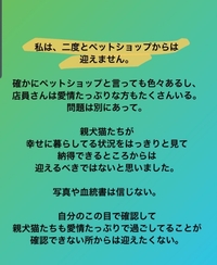 個人ブリーダー 本当に儲かりますか 今まで 猫 メインク Yahoo 知恵袋