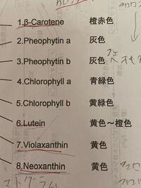 高校生物 薄層クロマトグラフィーにおいての問題です 問題 緑葉に含 Yahoo 知恵袋