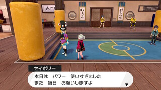 ポケモン剣盾についてです 鎧の孤島を購入し進めて最後の本気のマ Yahoo 知恵袋