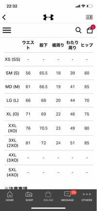 アンダーアーマー買ったのですがサイズが小さい気がします(^_