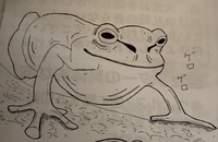 蛙の絵の描き方 こんばんは イラストの練習をしているのです Yahoo 知恵袋