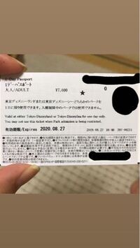 ディズニーについてです 再来園パスポートでは抽選に参加出来ないのでしょうか Yahoo 知恵袋