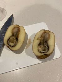 本日スーパーで買ったじゃがいもが腐ってました 外見は至っ Yahoo 知恵袋