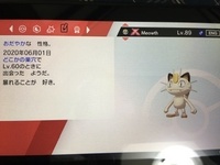 稼ぎ ニャース 金