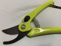 画像は剪定ばさみになります ダイソー剪定ばさみ で検索をかけたらたく Yahoo 知恵袋