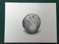 リンゴの鉛筆デッサンを描きました。
美術系の高校に進学したいので評価していただけたら嬉しいです。
修正すべき点など教えてください。

1.5h程で描きました。 